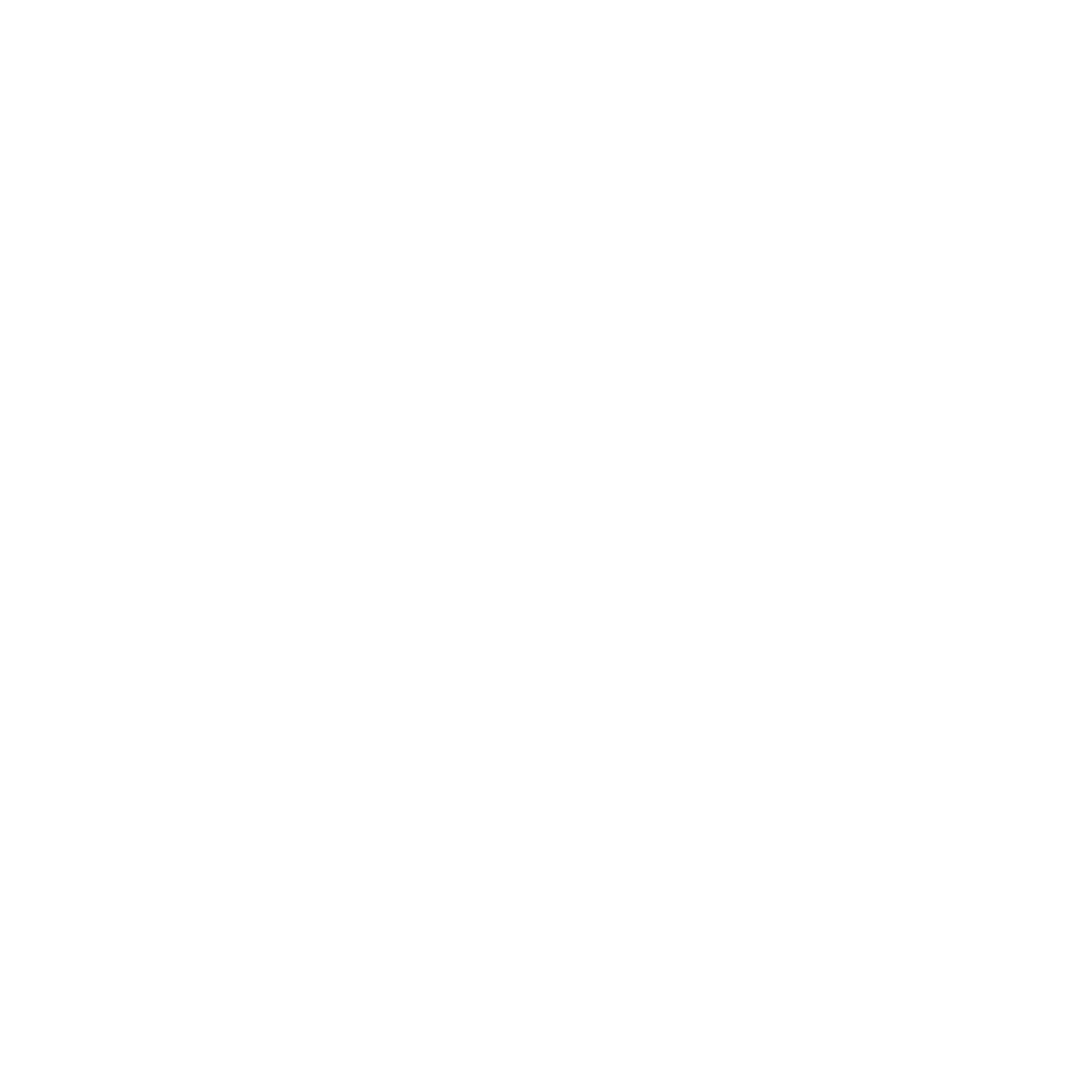 Web cam icon